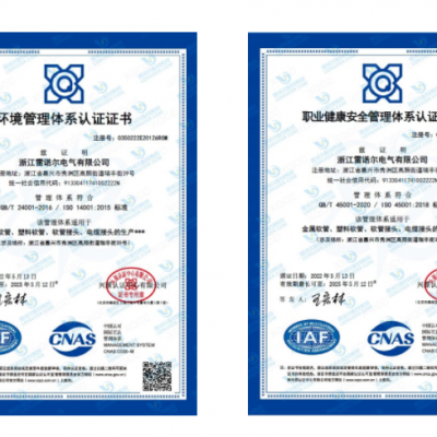 雷諾爾電氣順利通過ISO14001和ISO45001環境、安全管理體系認證
